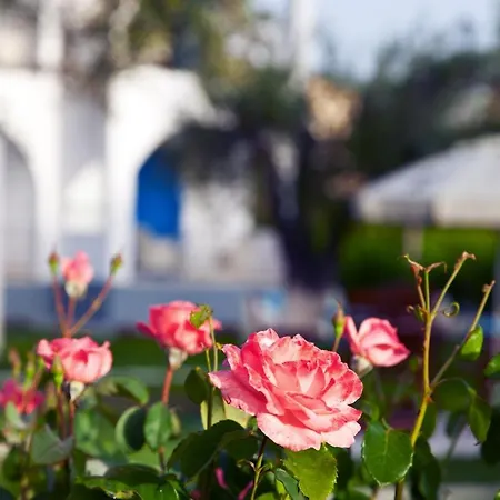 Sun 'n Chill, Boutique & Lefkimmi