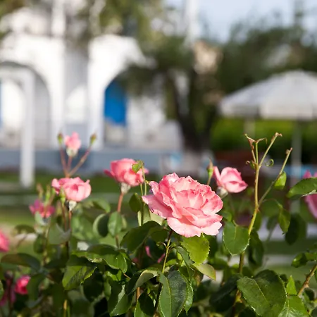 Sun 'n Chill, Boutique & 4* Lefkimmi